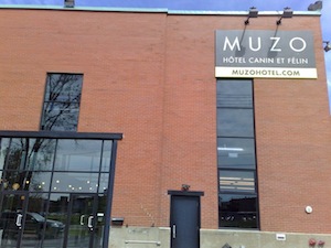 Muzo